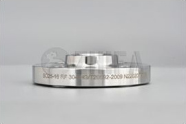 Raised Face Welding Flange